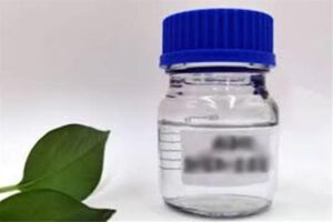 I800X500 584106812834 min