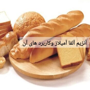 آنزیم آلفا آمیلاز وکاربرد های آن