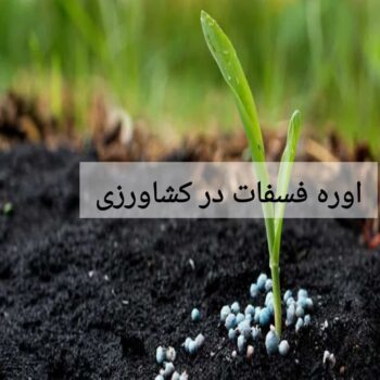 اوره فسفات در کشاورزی