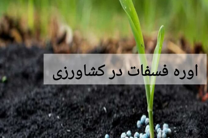 اوره فسفات در کشاورزی