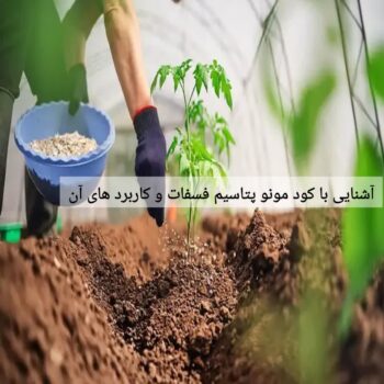 آشنایی با کود مونو پتاسیم فسفات و کاربرد های آن