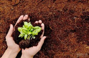 nody عکس خاک های زیبا 1648875609 min