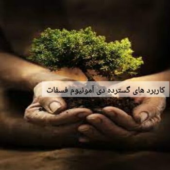 کاربرد های گسترده دی آمونیوم فسفات