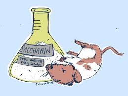 آیا سدیم ساخارین سرطان زا است؟